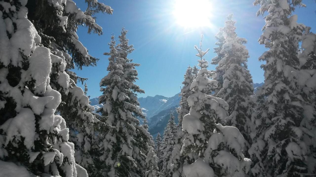 Hotel Haus Renswouw Hollersbach im Pinzgau Exteriér fotografie