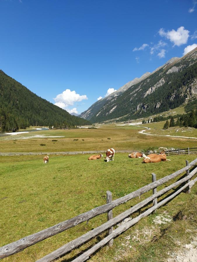 Hotel Haus Renswouw Hollersbach im Pinzgau Exteriér fotografie