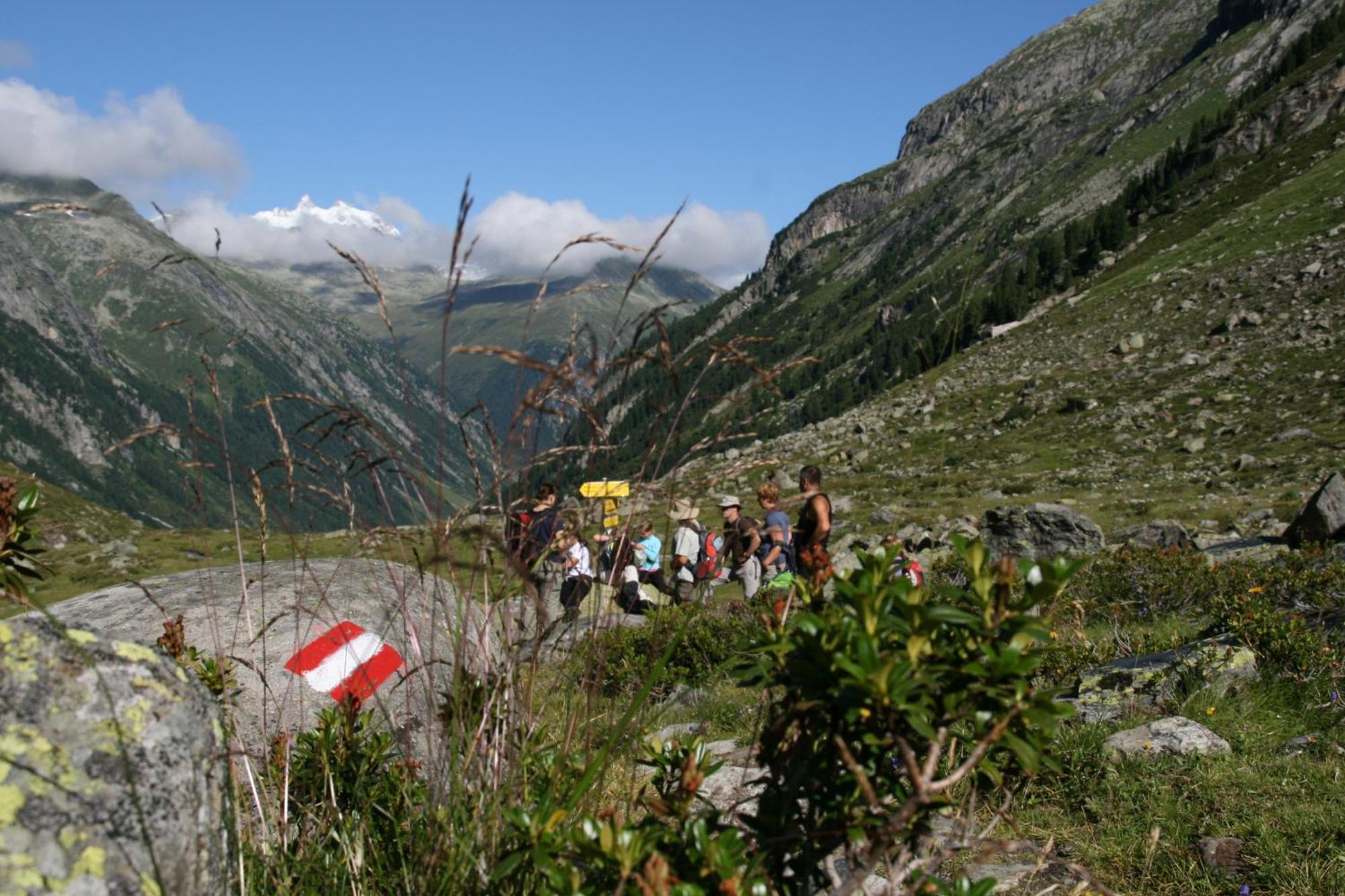Hotel Haus Renswouw Hollersbach im Pinzgau Exteriér fotografie