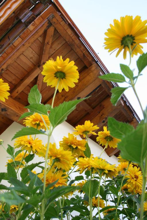 Hotel Haus Renswouw Hollersbach im Pinzgau Exteriér fotografie